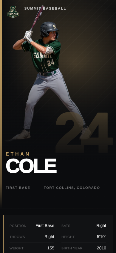 Diamond Profile baseball player website example